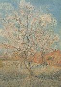 Vincent Van Gogh Peach Tree in Blossom (nn040 Germany oil painting reproduction